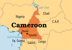 Cameroon’s Online Activities Starts Showcasing besides Nigeria’s Big Shadow Cast on its Neighbors