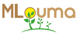 Mlouma.com Improving Market Knowledge in The Senegalese Agricultural Industry